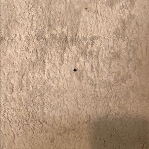 Meet your Posher, Ricardo